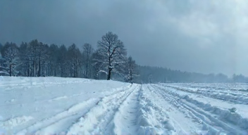 Der Krypto-Winter und seine Bedeutung (1/10)