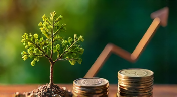 Ökonomische Aspekte der Erbschaftssteuer (8/10)